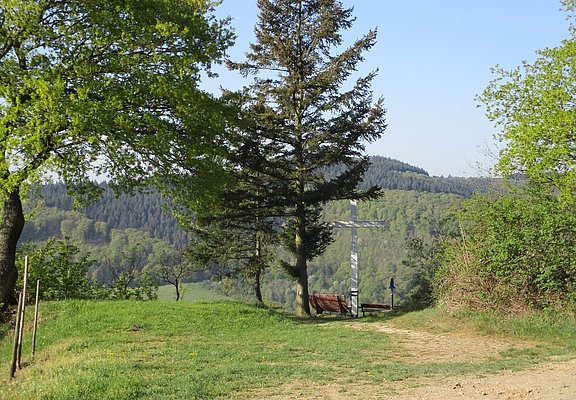 Plantert Kreuz oberhalb von Zeltingen-Rachtig