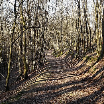 Wanderweg "Kirchspiel's Täler Tour"