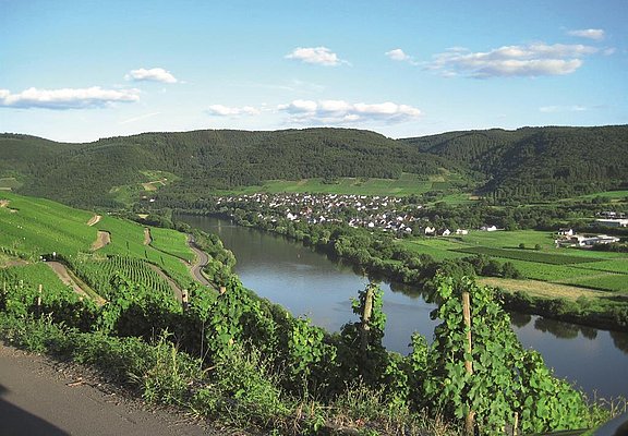 Blick auf Andel