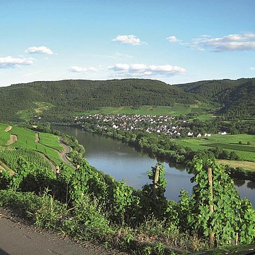 Blick auf Andel