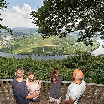 Moselblick
