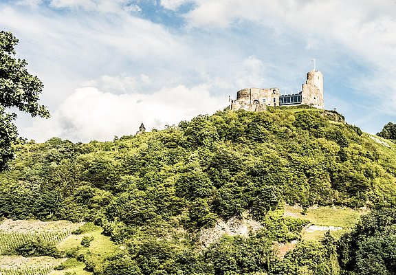 Burg Landshut