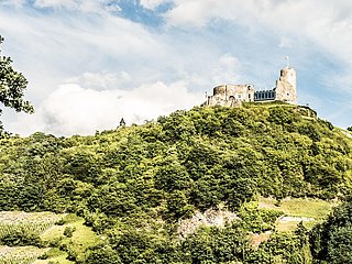 Burg Landshut