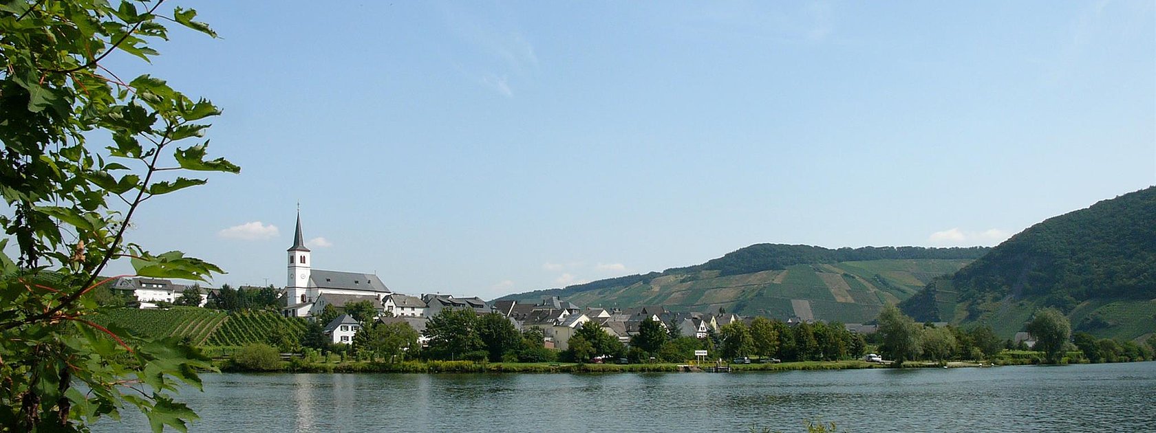 Moselansicht