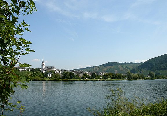 Moselansicht