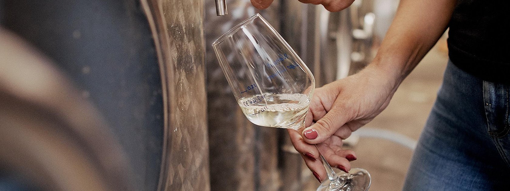 Jungwein-Tasting im Weinkeller