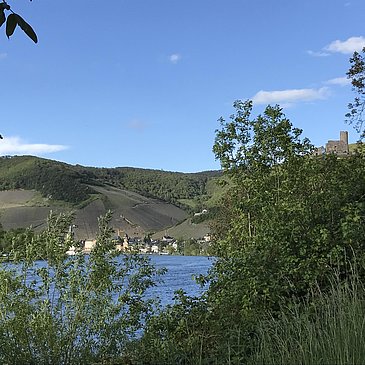 Blick vom Radweg nach Bernkastel-Kues