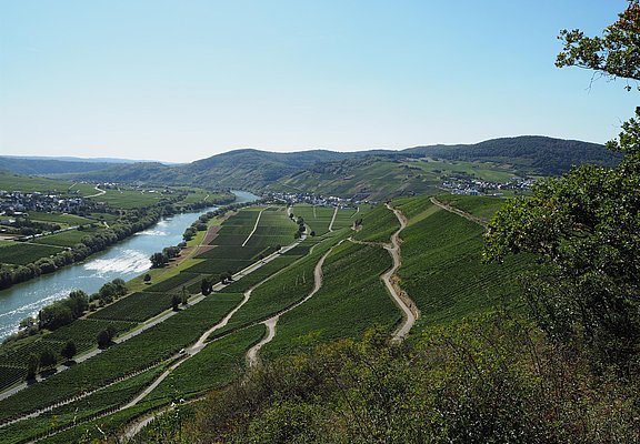 Aussicht auf Kesten und Osann-Monzel