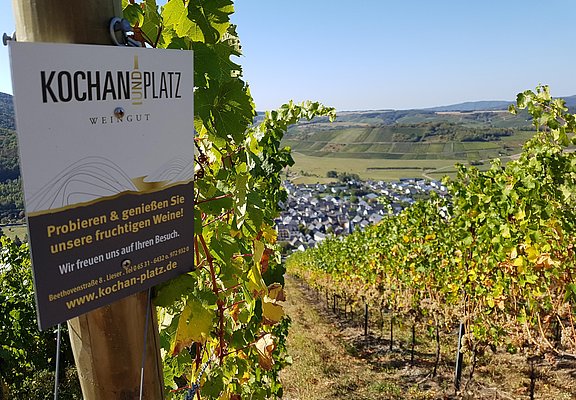 Weinberge Kochan & Platz