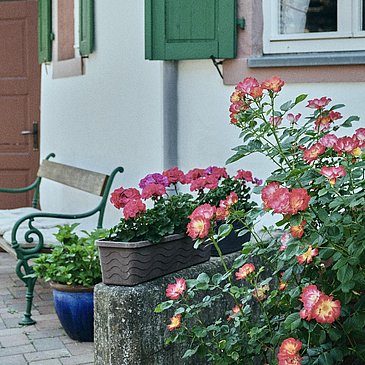 Bank vorm Haus