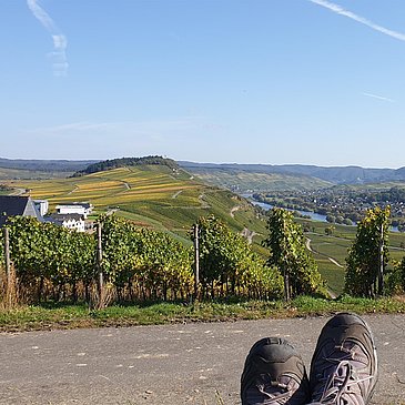 Aussicht von der Ruheinsel