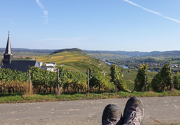 Aussicht von der Ruheinsel