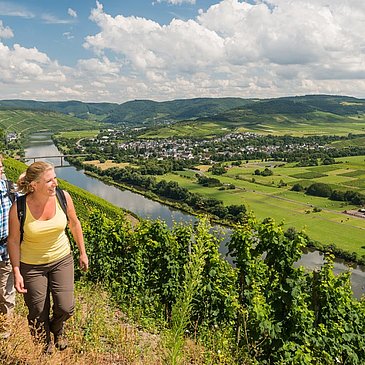 Moselsteig an der Mittelmosel