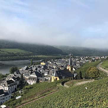 Nebel über Zeltingen