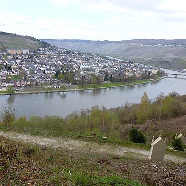 Moselausblick