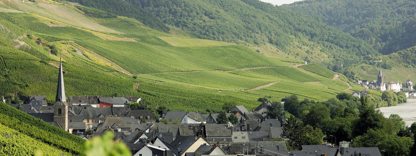 Graach an der Mosel