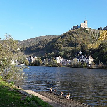 Bernkastel-Kues und Burgruine Landshut