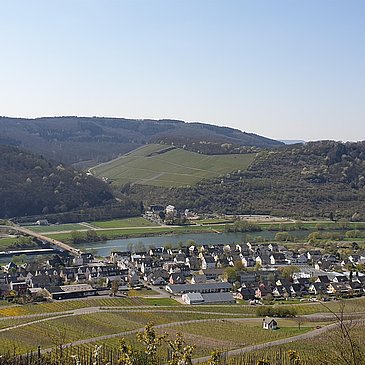 Zeltingen-Rachtig