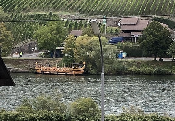 Aussicht auf die Mosel