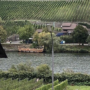 Aussicht auf die Mosel