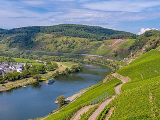 Blick auf den Weinort Pünderich und das Eisenbahnviadukt