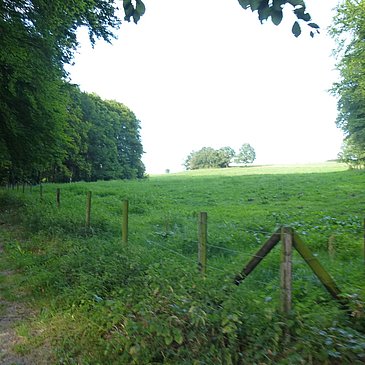 Wald- und Wiesenweg