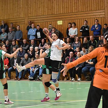 Turnier Handball