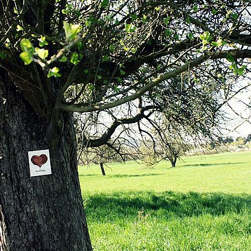 Beschilderung Klosterweg