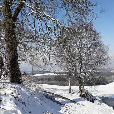 Winterimpression