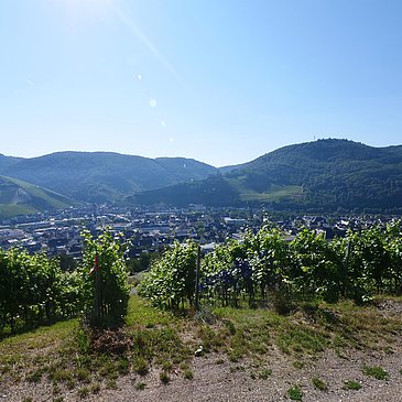 Aussicht Fierskapelle Bernkastel-Kues