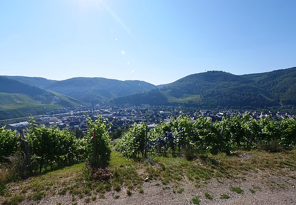 Aussicht Fierskapelle Bernkastel-Kues