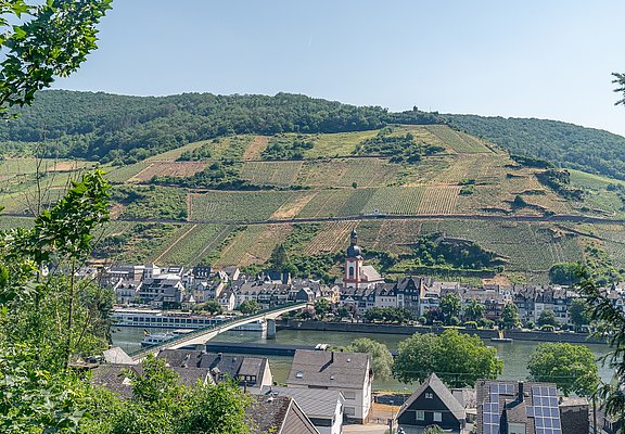 Blick auf Zell vom Mosel-Radweg