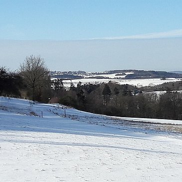 Blick auf die Winterlandschaft