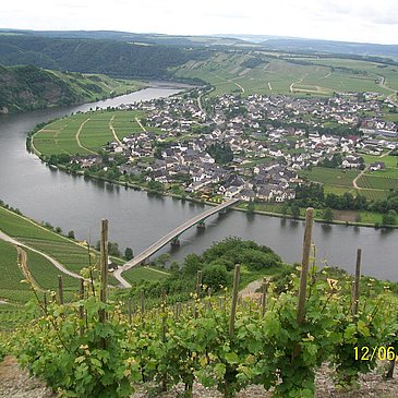 Piesport