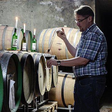 Weingut Gindorf Kellerarbeit