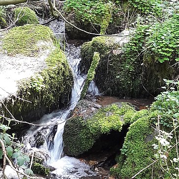 Bach am Wanderweg