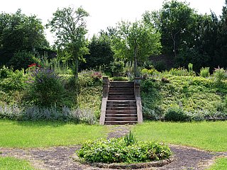 Garten mit Treppe