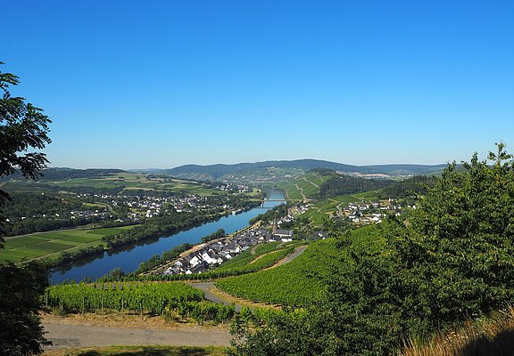 Aussicht über Lieser und das Moseltal