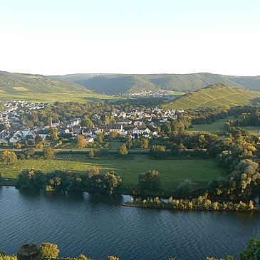 Blick auf Mülheim an der Mosel