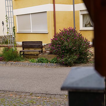 DSC06233