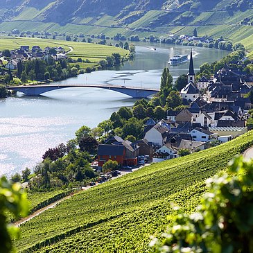 Blick auf Alt-Piesport