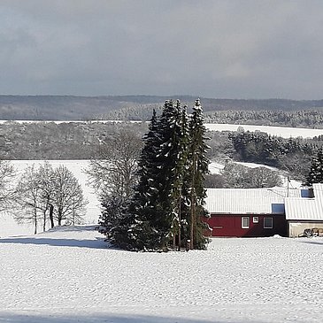 Haus Maja Winter