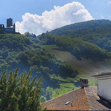 Blick auf die Burg und Mosel