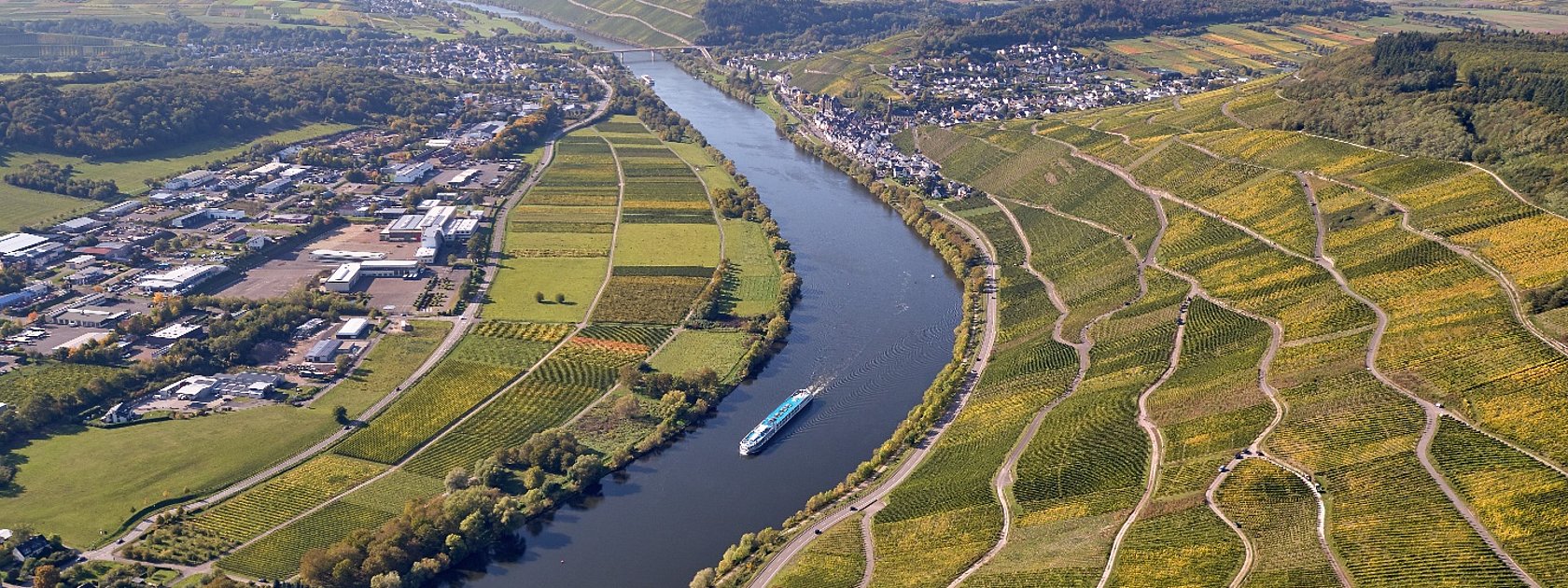 Weinlandschaft bei Lieser