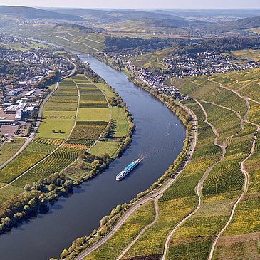 Weinlandschaft bei Lieser