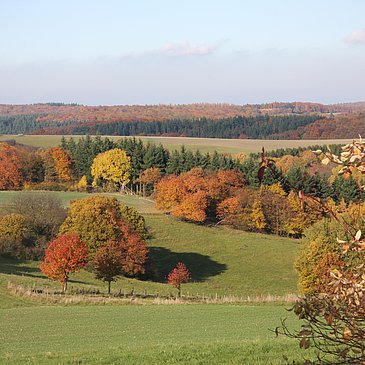 Herbstimpression