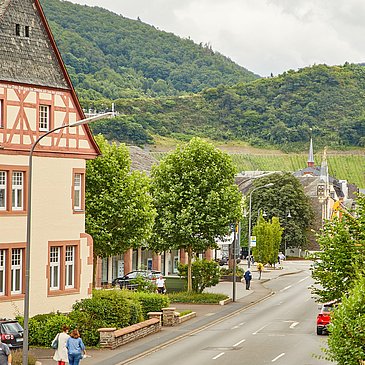 Cusanusstraße