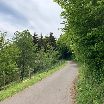 Umgeben von Wald und Wiesen
