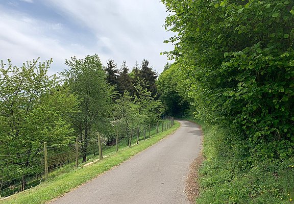 Umgeben von Wald und Wiesen