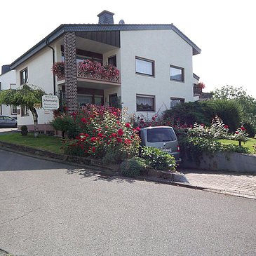 Ansicht-3